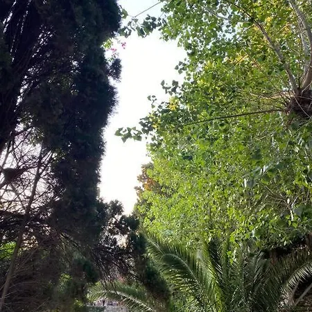 Daire Casa Di Sardi İstanköy